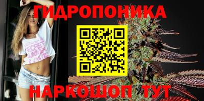 кокаин Гатчина