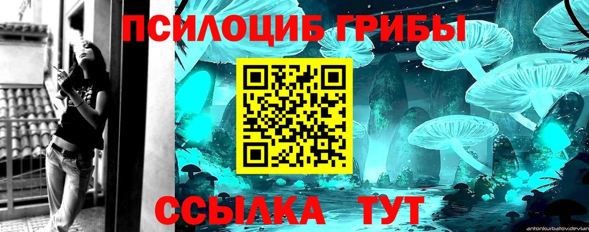 Галлюциногенные грибы прущие грибы Можайск